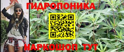 гашик Гусев