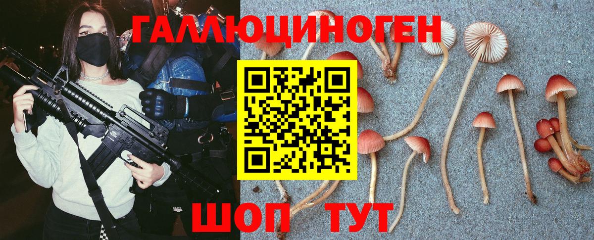 Михайловск  Псилоцибиновые грибы Cubensis  Вход с VPN  Псилоцибиновые грибы Psilocybine cubensis 